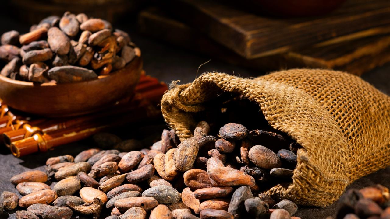 Biji Kakao — Alba Nusantara Commodity